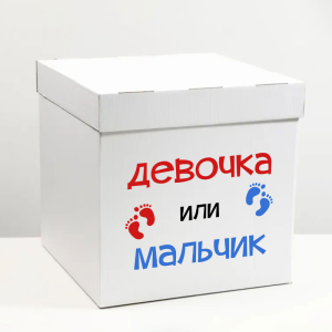 Коробка-сюрприз для Gender Party девочка или мальчик