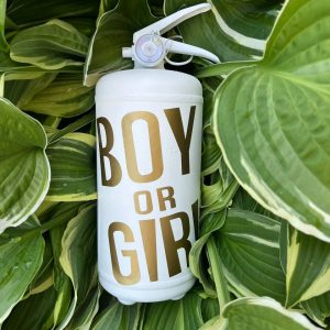 белый огнетушитель с золотой надписью 2 литра купиь в минске недорого