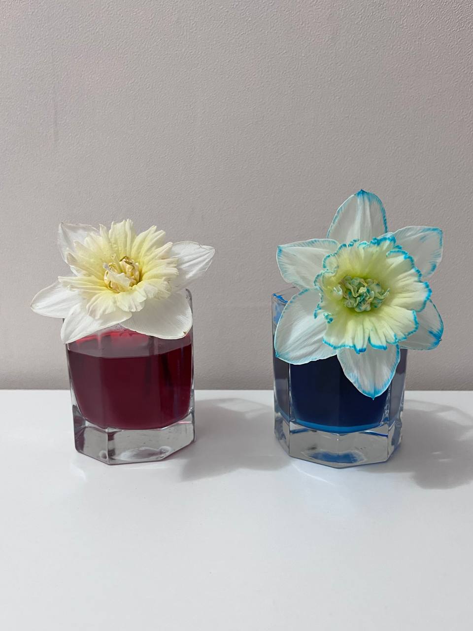 ЭвриПати - everyparty.by kak okrasit svezhie czvety dlya gender party