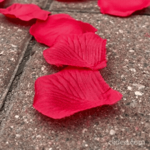 Конфетти лепестки роз