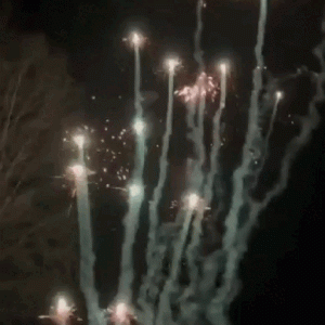 серебряные медузы фейерверк на свадьбу в Минске недорого заказать с выездом пиротехника