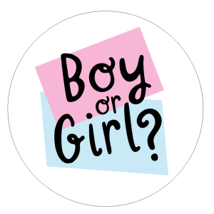Мини-баннер Boy or Girl круг 70 см (геометрия) аренда в Минске для гендер пати фотозоны