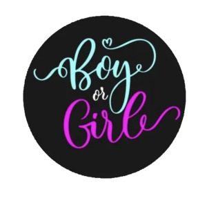Мини-баннер черный Boy or Girl контрастный круг 70 см