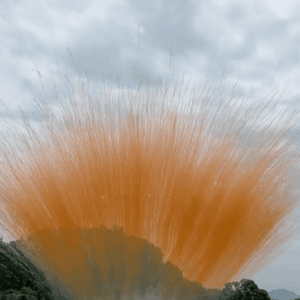 Оранжевый дымовой фейерверк 50 залпов веером(615)
